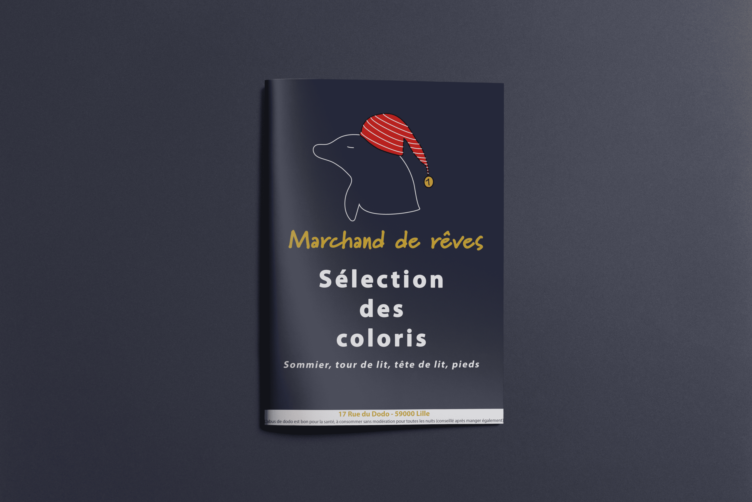mockup-brochure-selection-des-coloris-marque-fictive-leon-marchand
