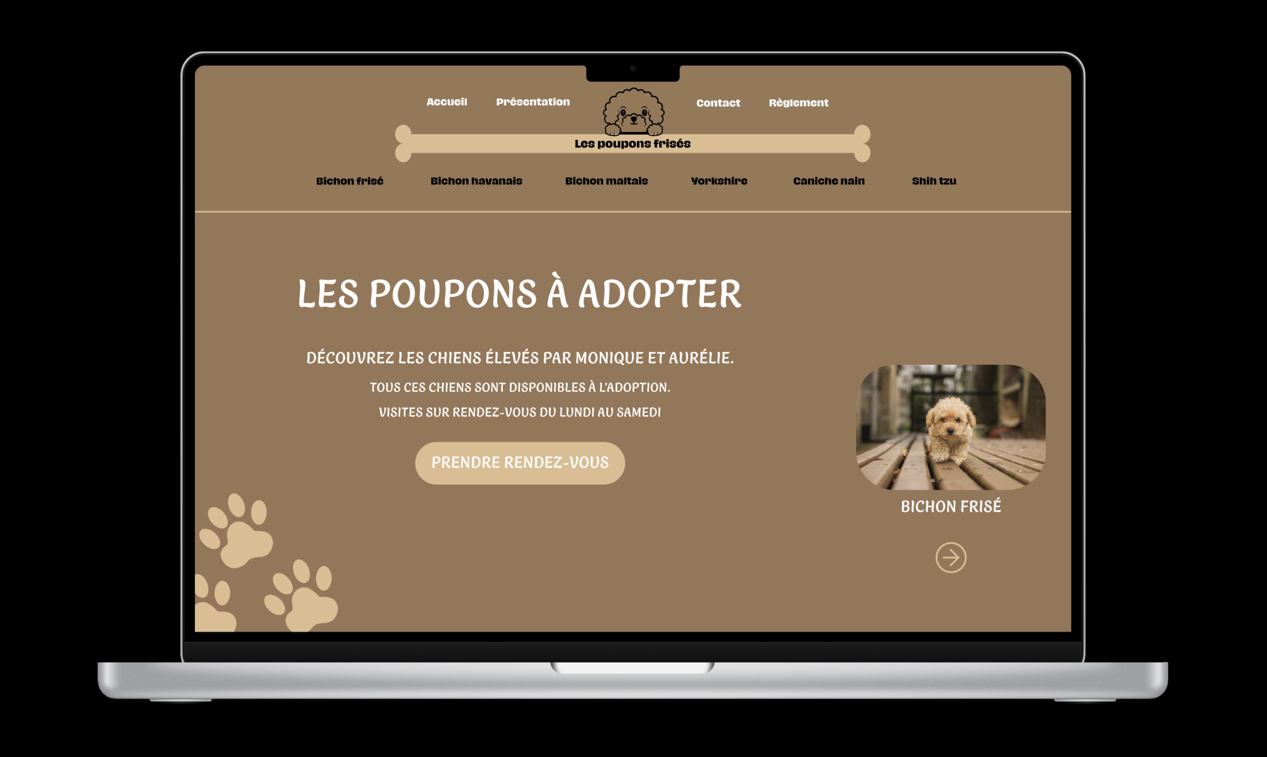 page-accueil-refonte-site-les-poupons-frises