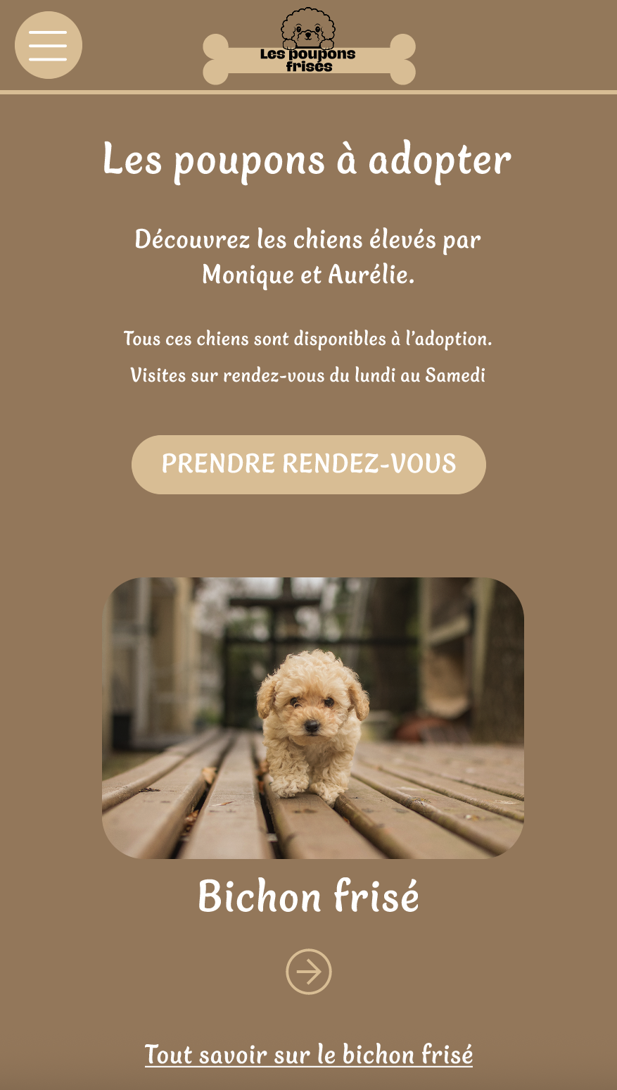 page-accueil-telephone-refonte-du-site-les-poupons-frises