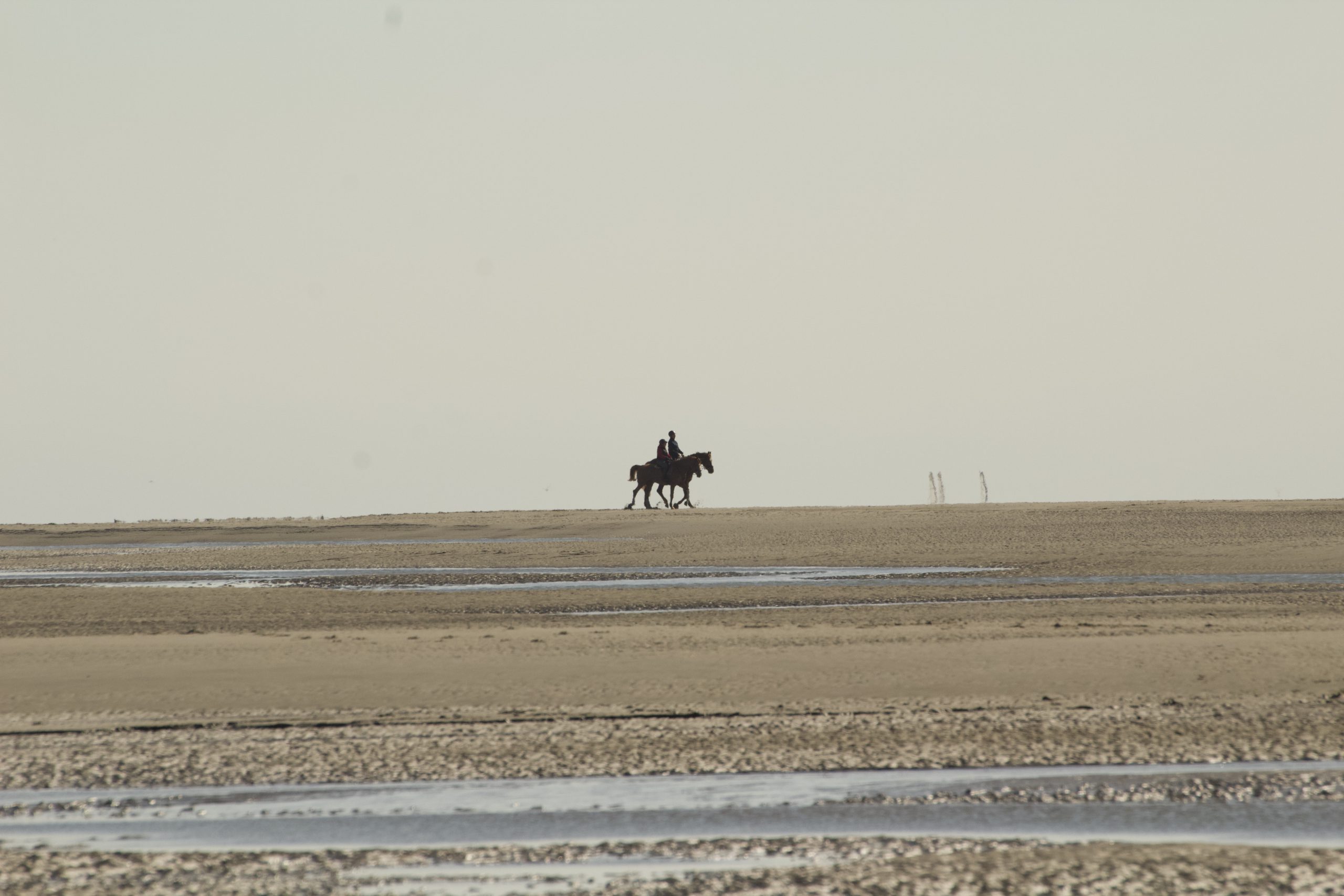 photo-balade-a-cheval-sur-la-plage-du-touquet