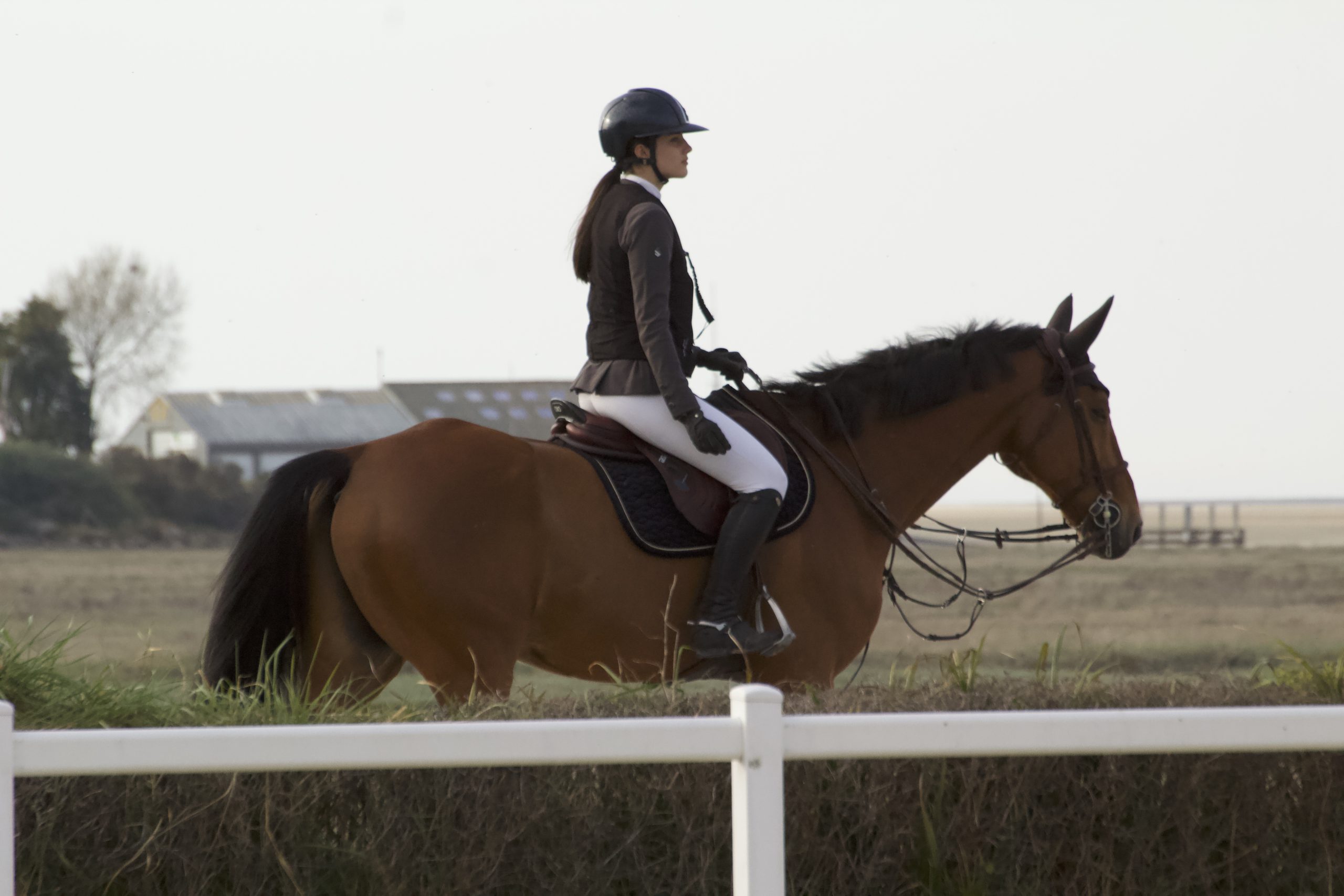 photo-d-un-cheval-et-sa-cavaliere-se-baladant-pres-de-la-mer-lors-du-concours-de-saut-du-touquet