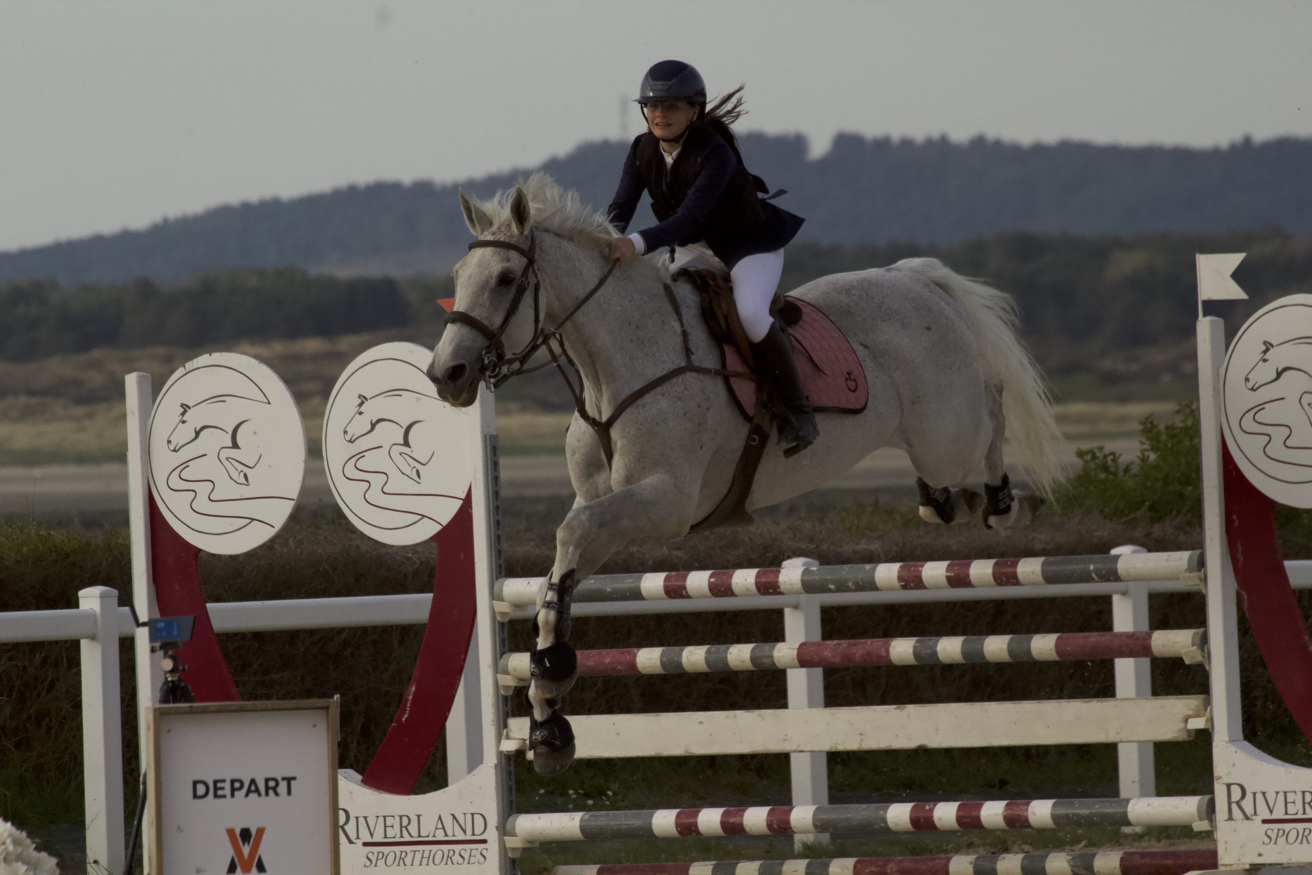 photo-saut-d-obstacle-d-un-cheval-blanc-et-sa-cavaliere