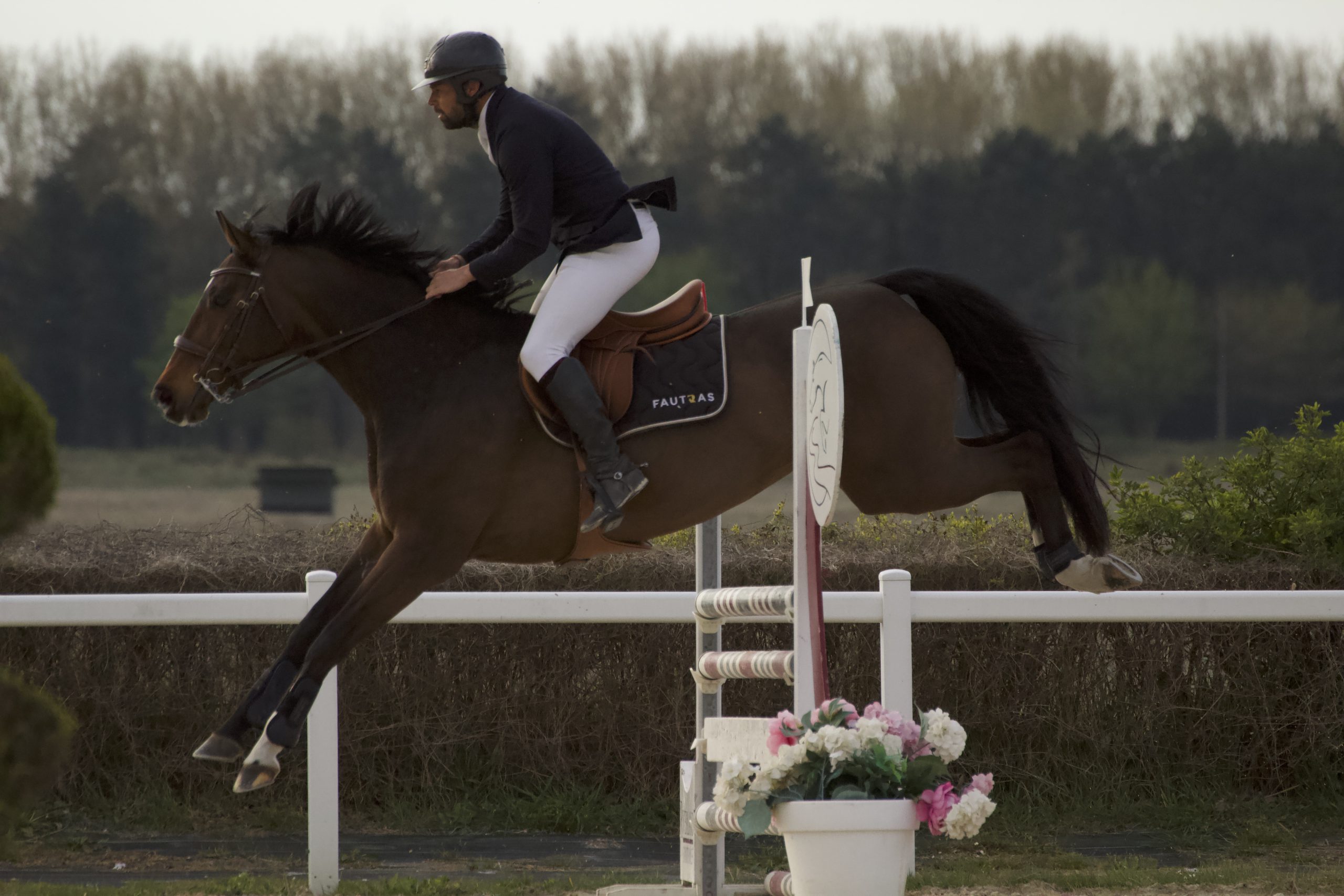 photo-saut-d-obstacle-d-un-cheval-marron-et-son-cavalier