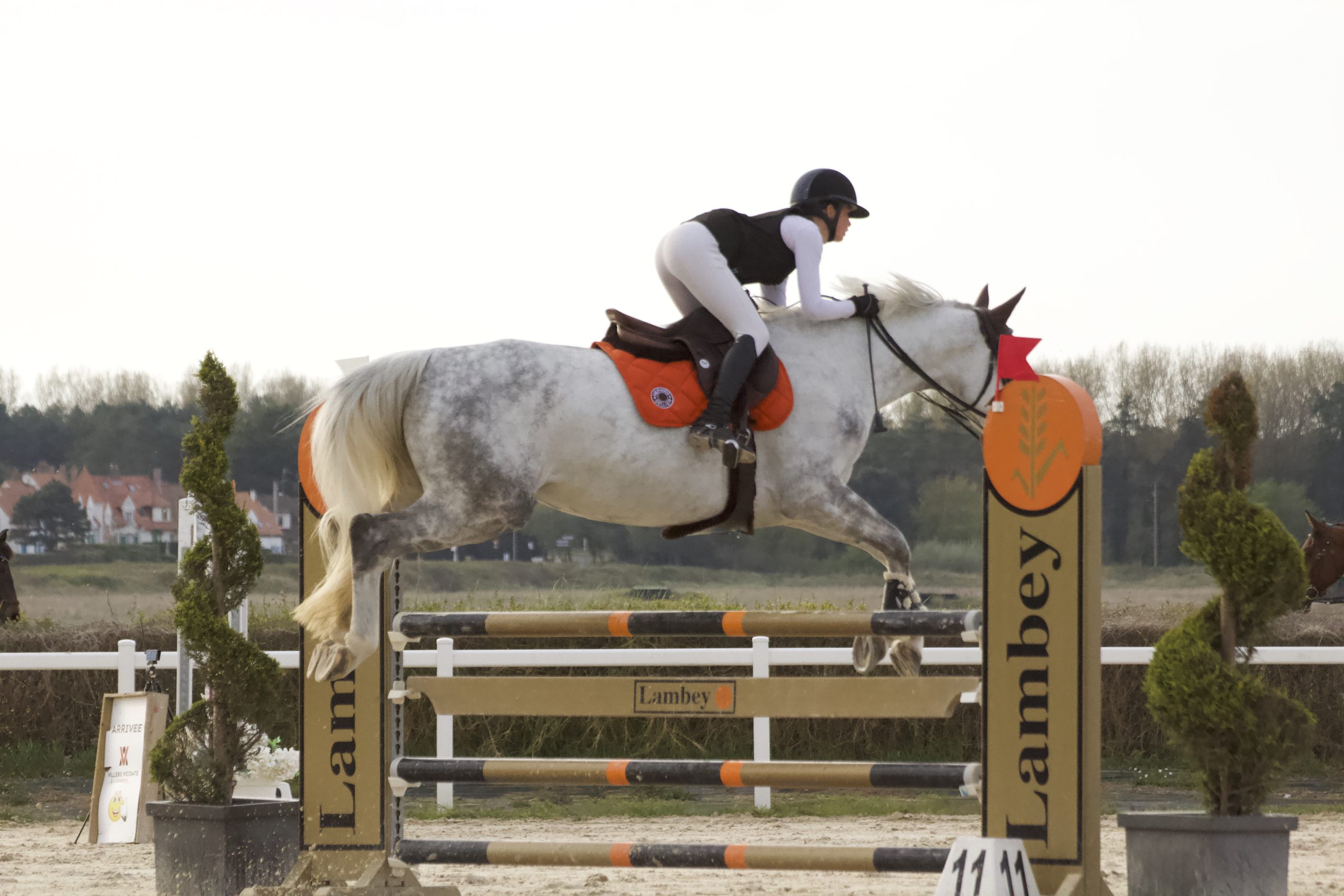 photo-saut-d-obstacle-d-un-cheval-blanc-et-sa-cavaliere