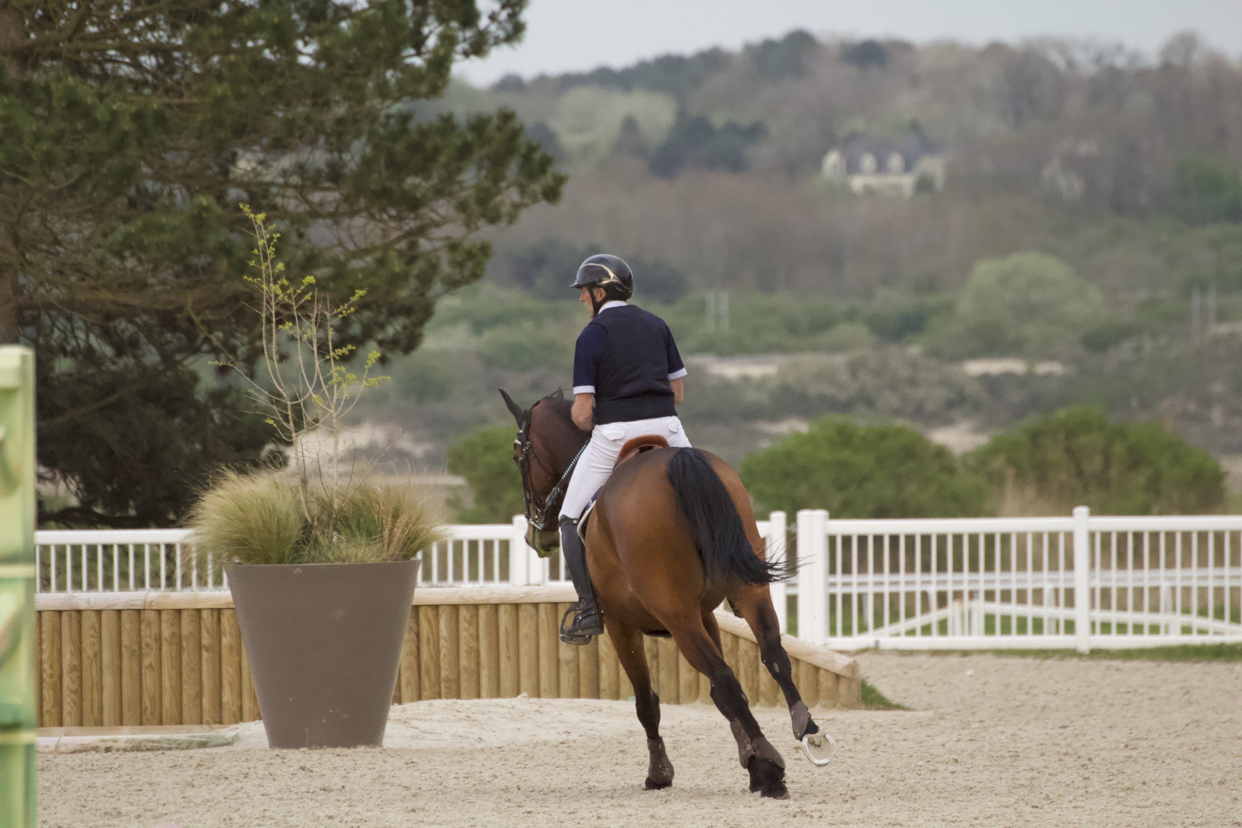 photo-concours-de-saut-du-touquet-d-un-cheval-marron-et-son-cavalier