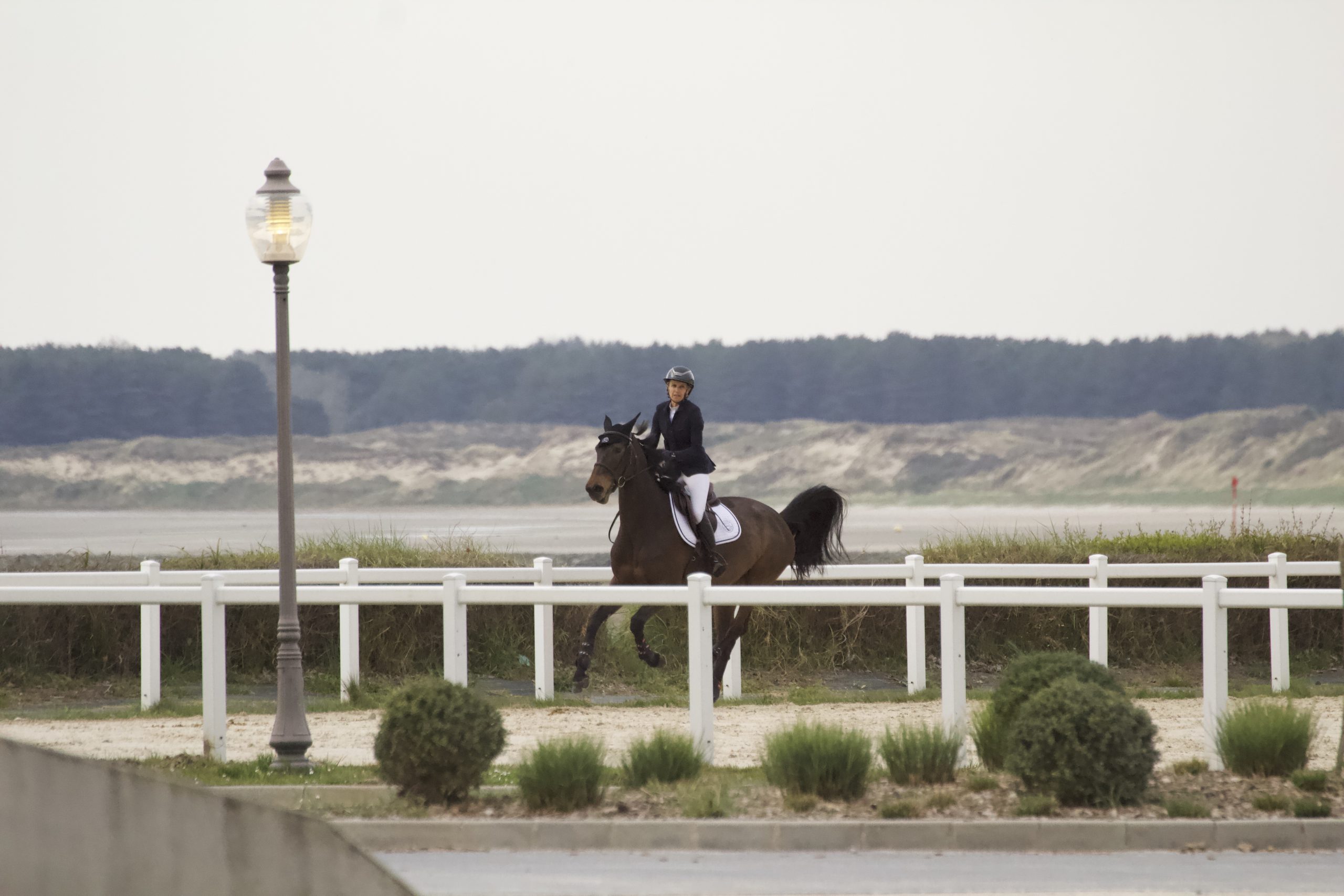 photo-d-un-cheval-et-sa-cavaliere-se-baladant-pres-de-la-mer-lors-du-concours-de-saut-du-touquet