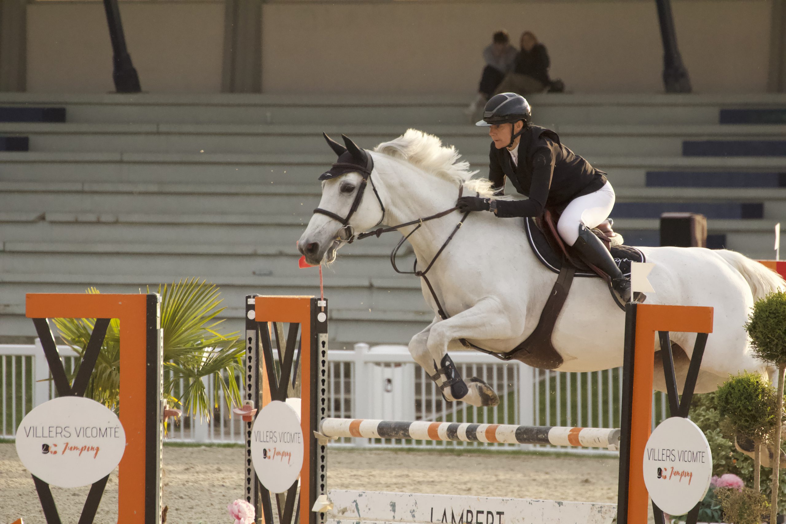 photo-saut-d-obstacle-d-un-cheval-blanc-et-sa-cavaliere