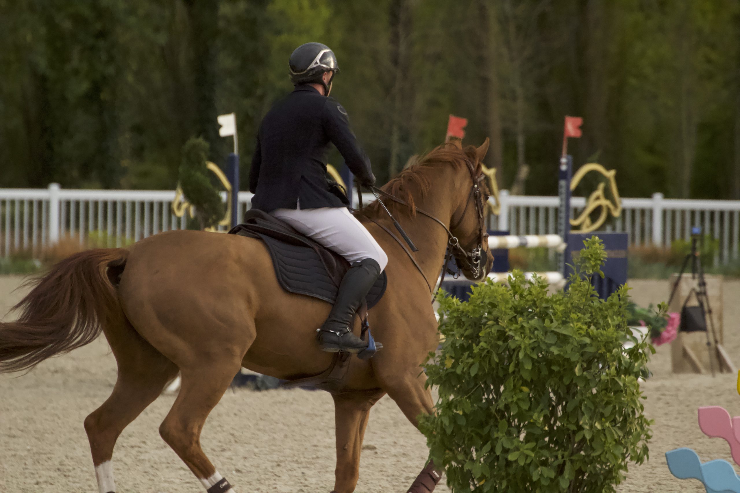 photo-concours-de-saut-du-touquet-d-un-cheval-marron-et-son-cavalier