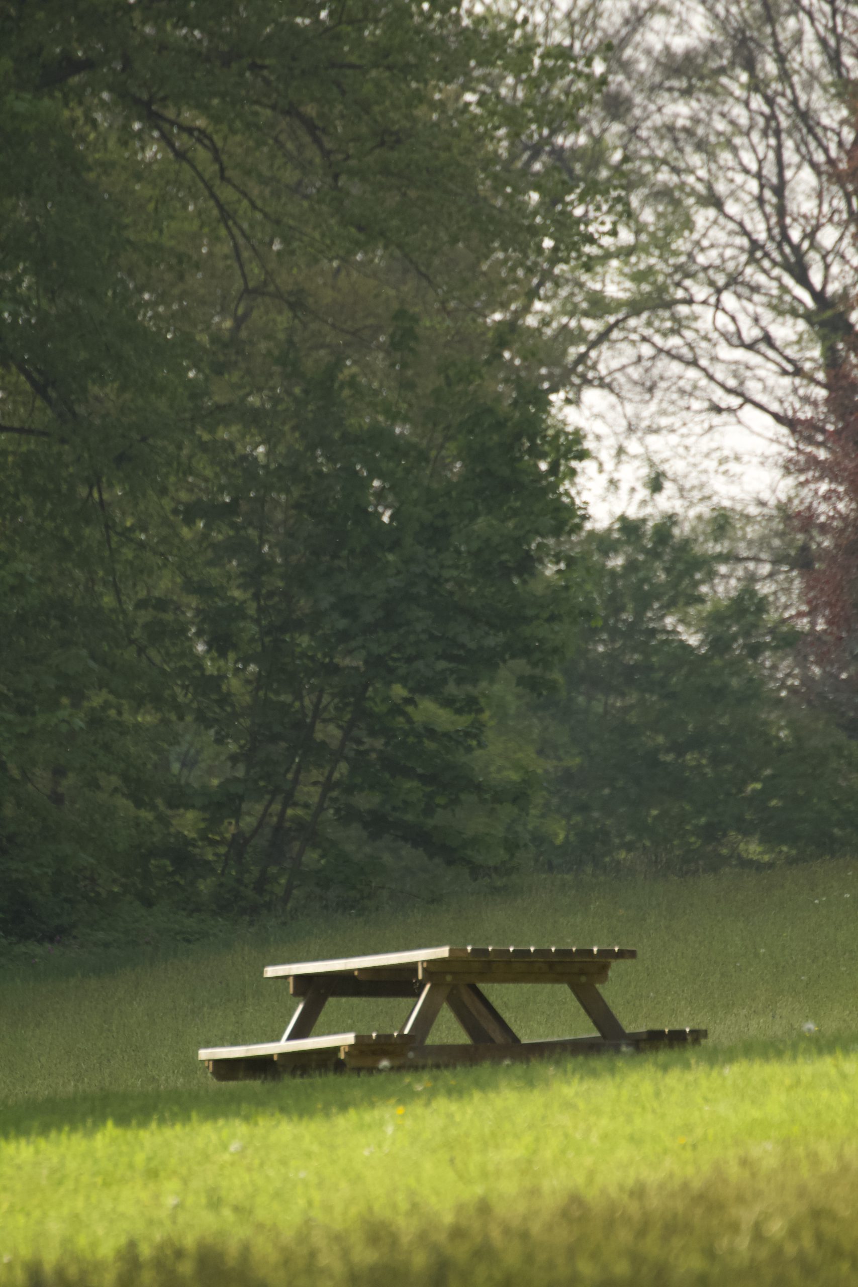 photo-table-en-bois-au-milieu-d-un-parc-dans-l-herbe