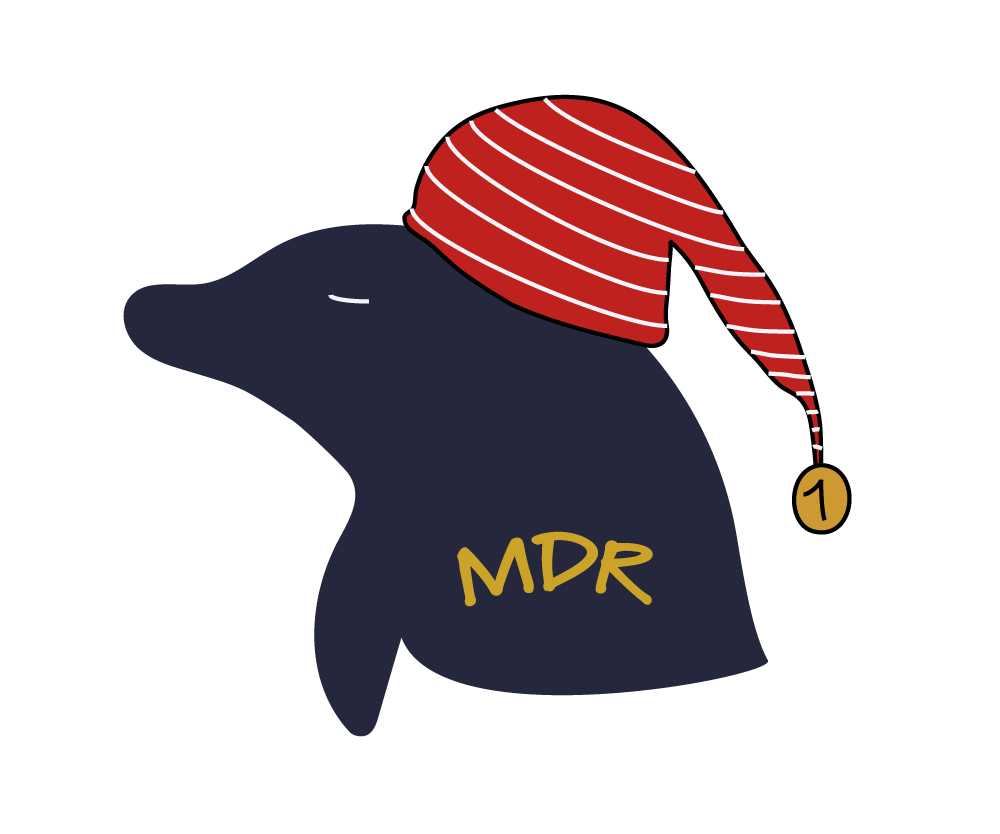 Marque-fictive-de-literie-pour-leon-marchand-logo-de-dauphin-bonnet-de-nuit-rouge-rayures-blanches-avec-les-yeux-fermés